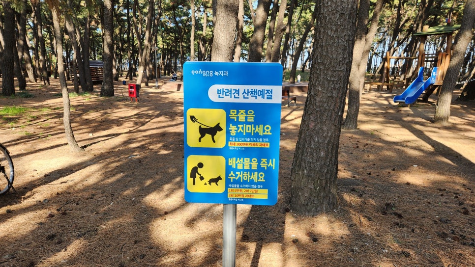 송도 솔밭 유아숲체험원 이미지