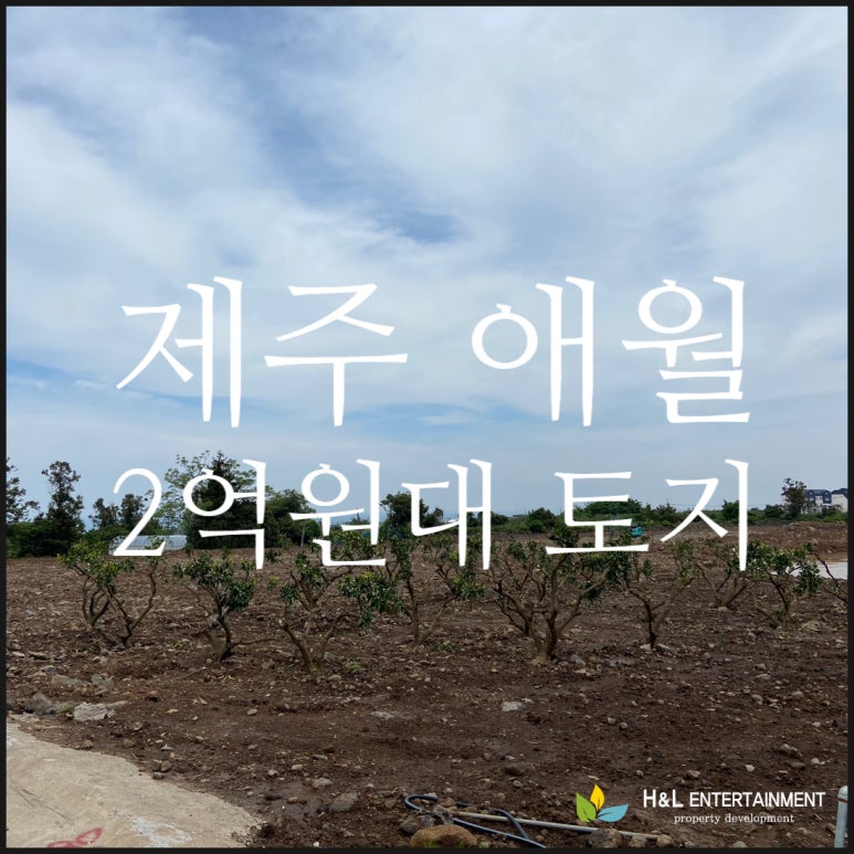 에이치앤엘 이미지