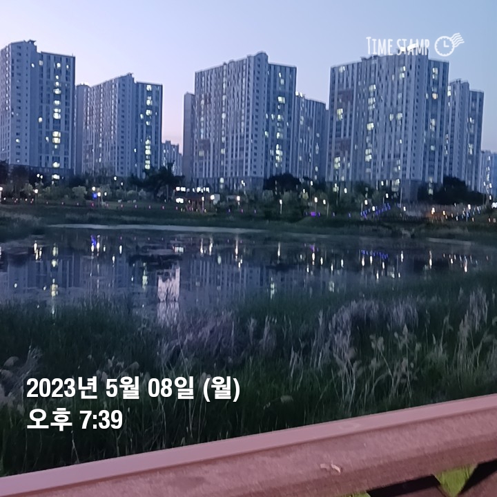 새동네다방 이미지