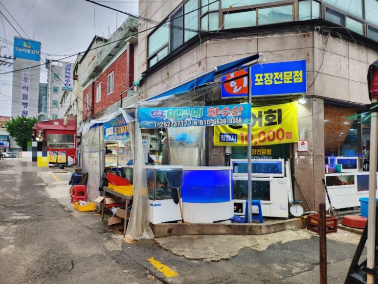 고흥수산주 이미지