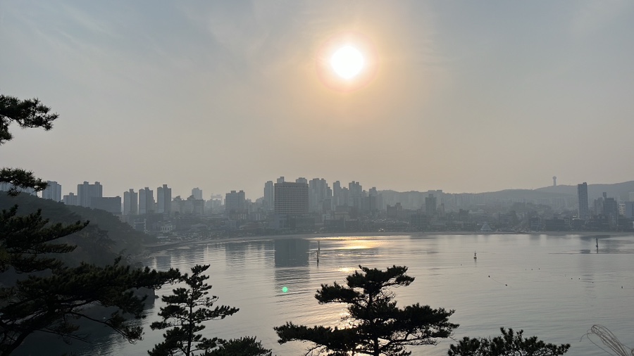 복산커피 이미지