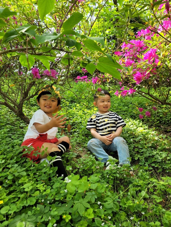전주카페수목원 이미지