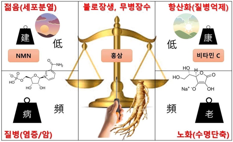 도해식품 이미지