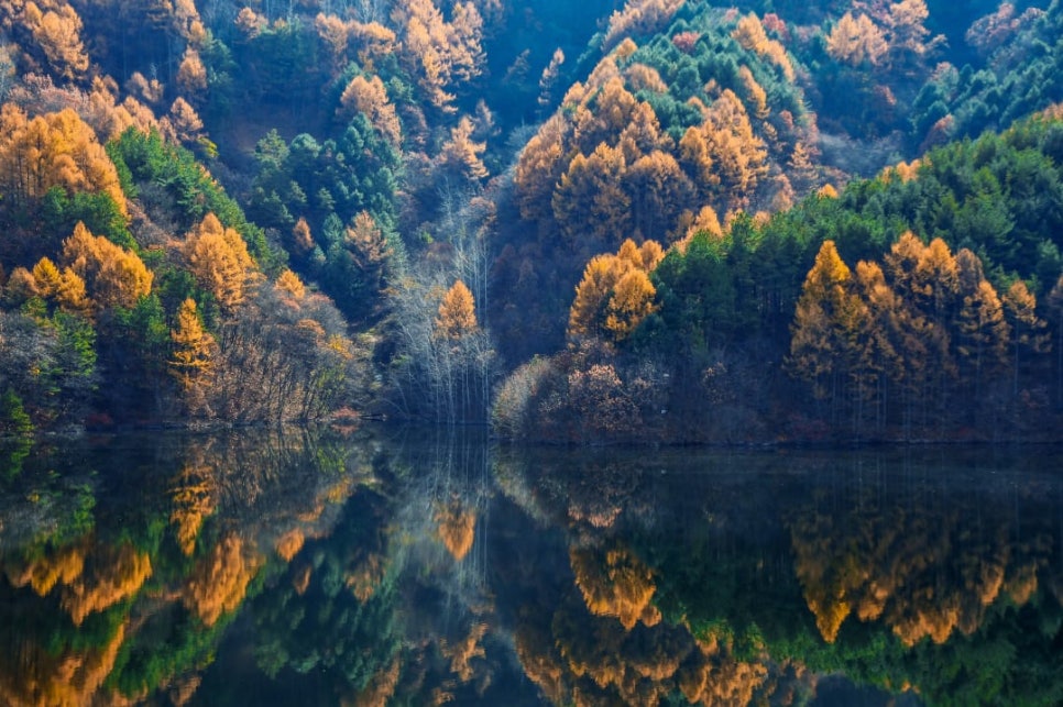 죽도캠핑장 이미지