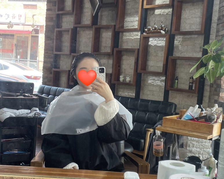 시저리 이미지