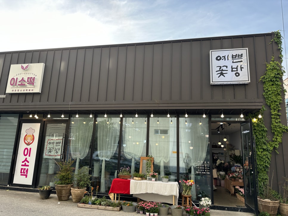 예쁜꽃방 이미지