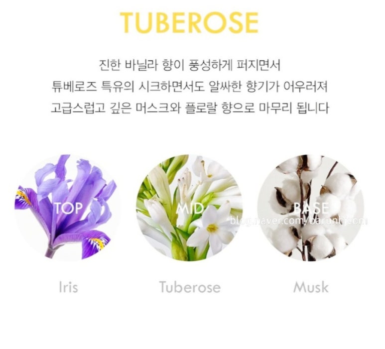 향기호프 이미지