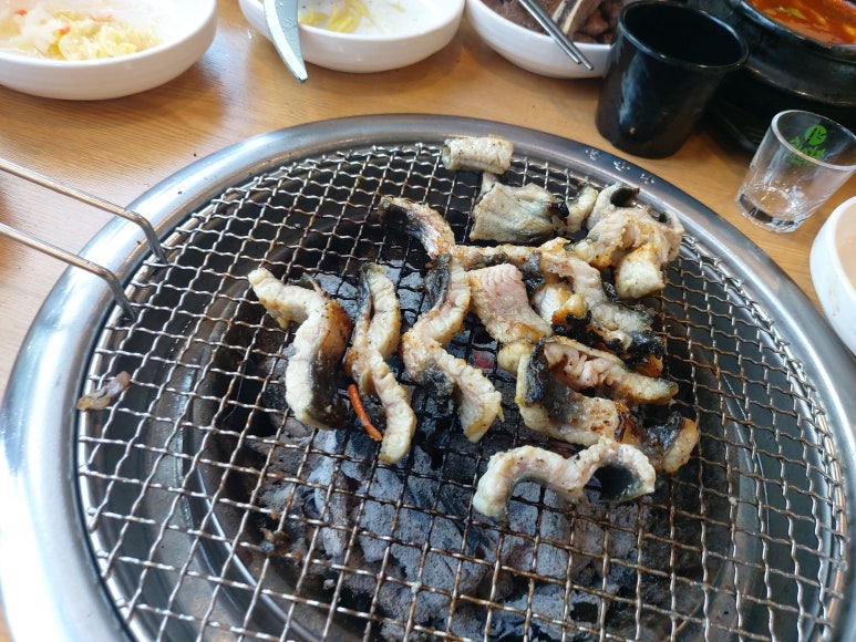 폭풍장어 이미지