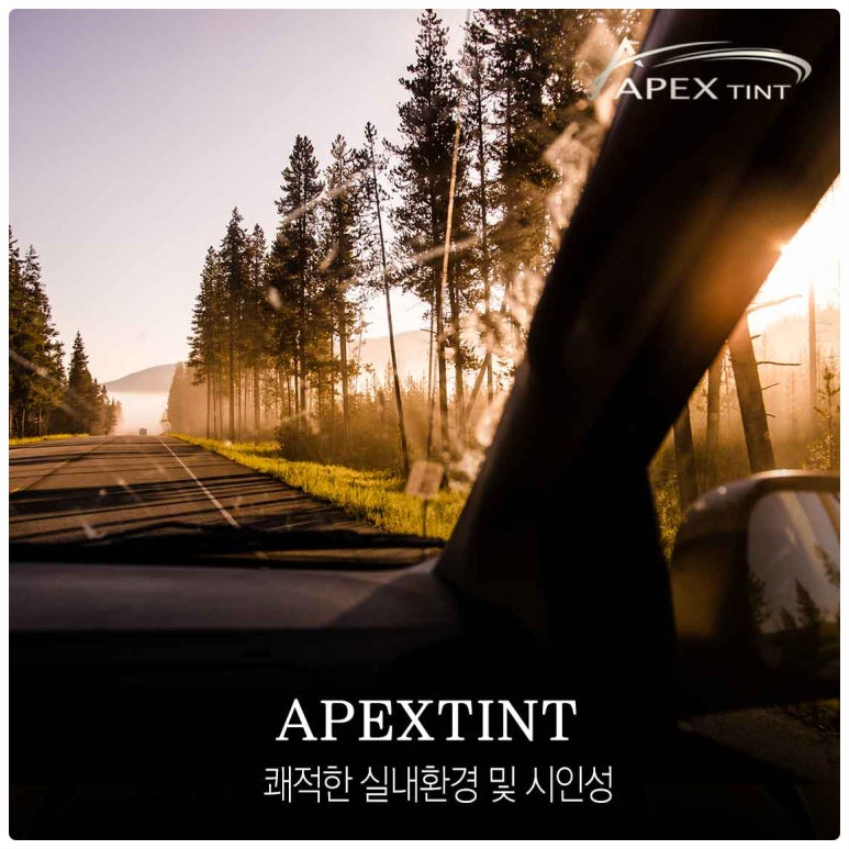 모세상사 이미지