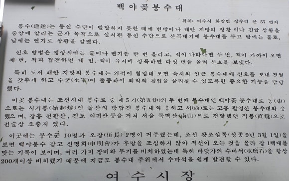 오장전자 이미지