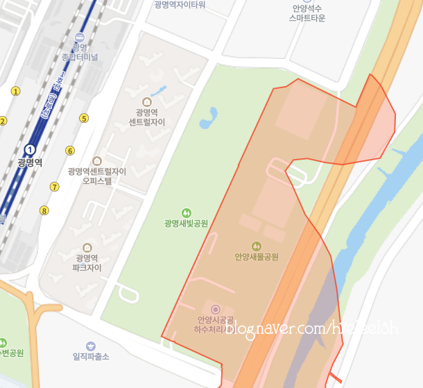폴러스타커피안양 이미지