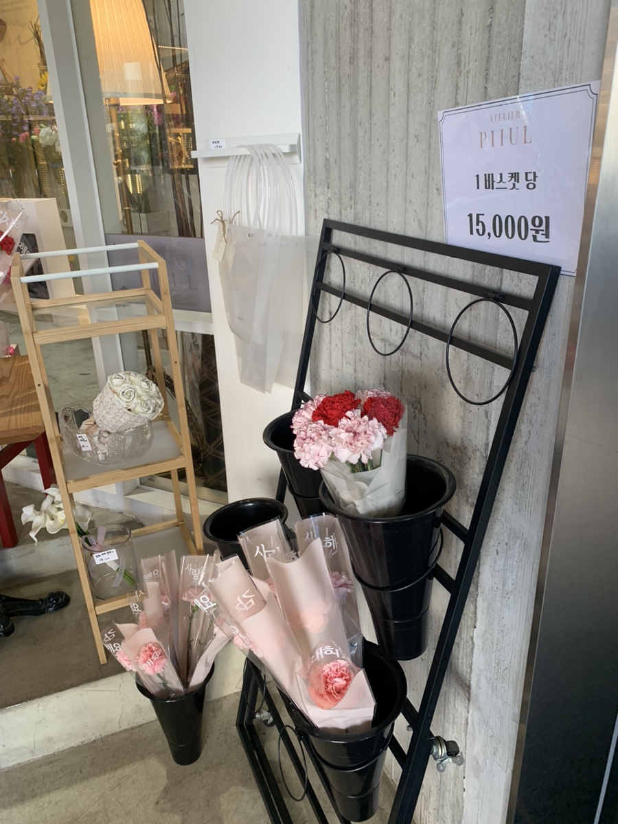 아틀리에피울 이미지