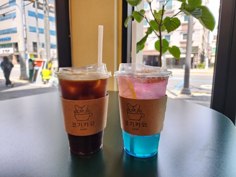 코네이스 이미지