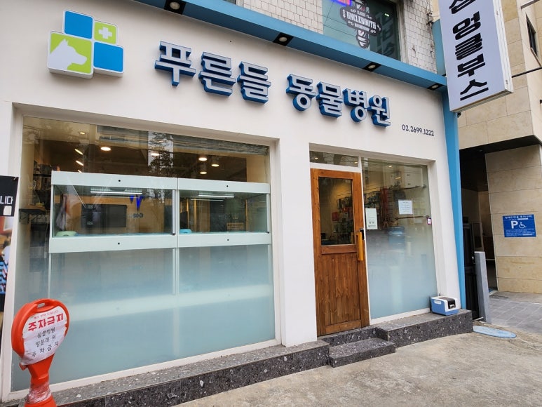 푸른들동물병원 이미지