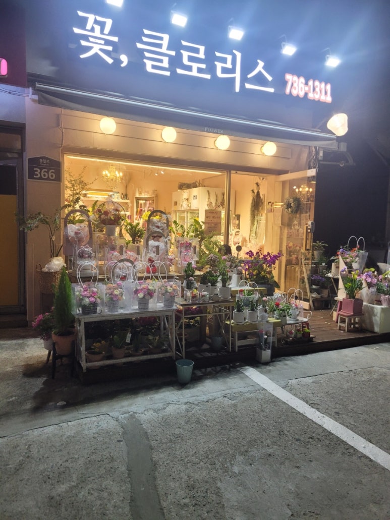 클로리스플라워 이미지