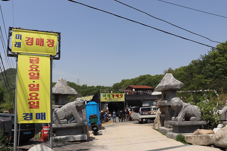 미래경매장 이미지