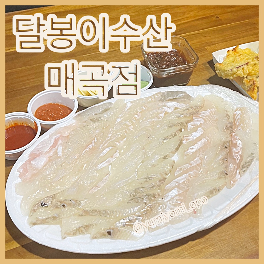 달봉이회수산 이미지