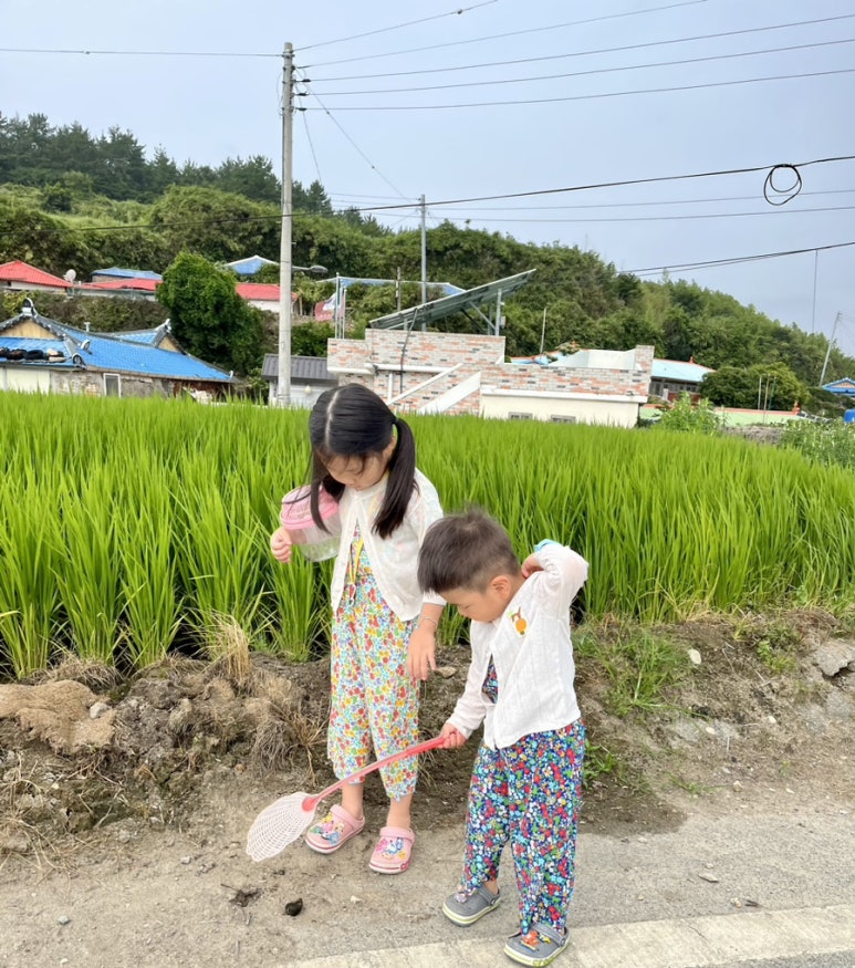 서편제민박 이미지