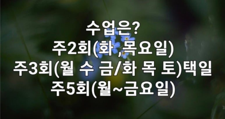 허선생어학연수 이미지
