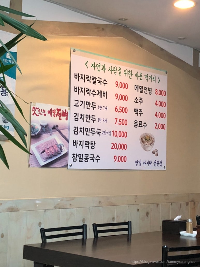 왔다칼국수 이미지