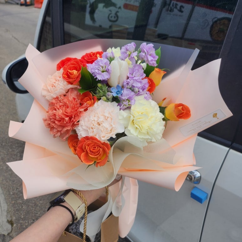 메호르디아 이미지
