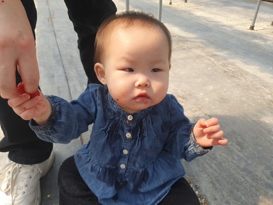 태성참딸기농원 이미지