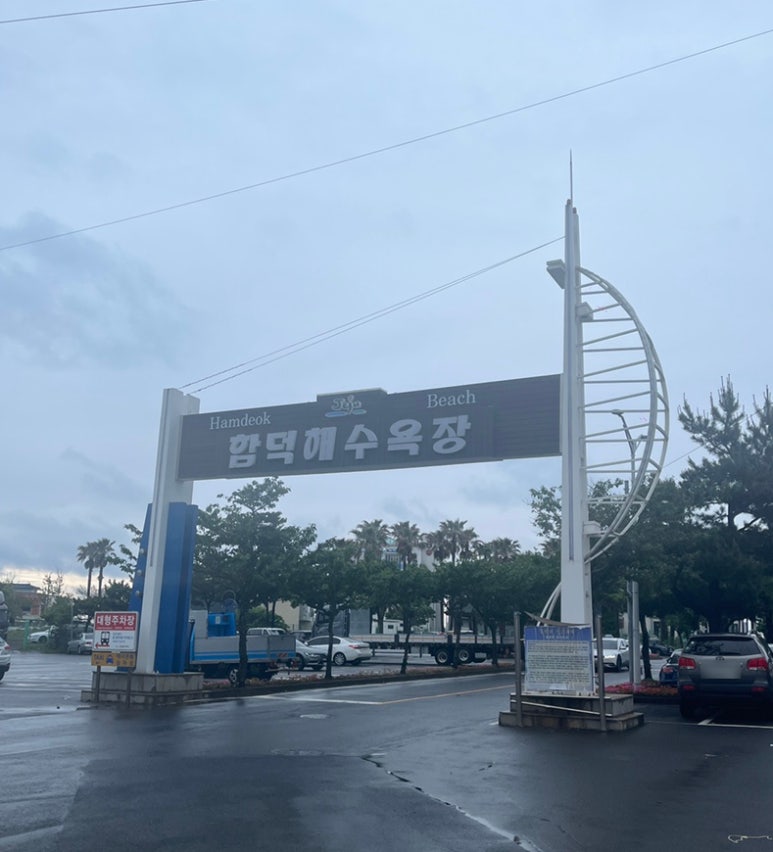 리치테라피 이미지