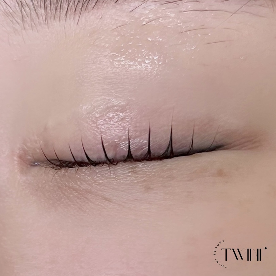 뷰티트위니 이미지