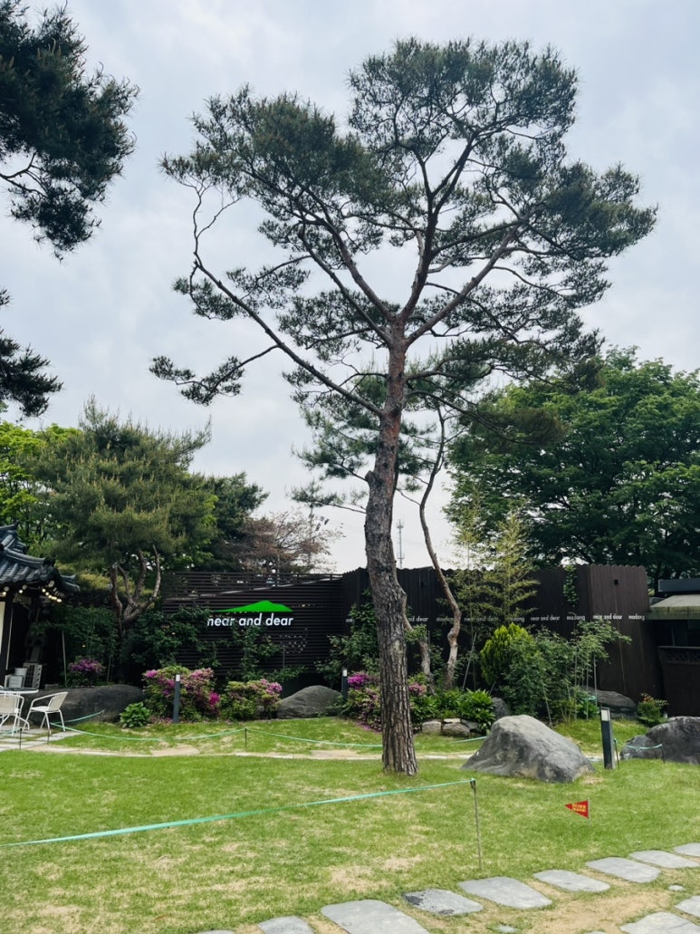 마당냉면갈비 이미지