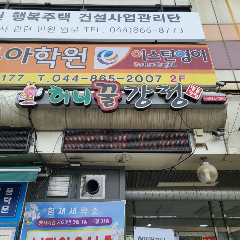 허니꿀강정 이미지