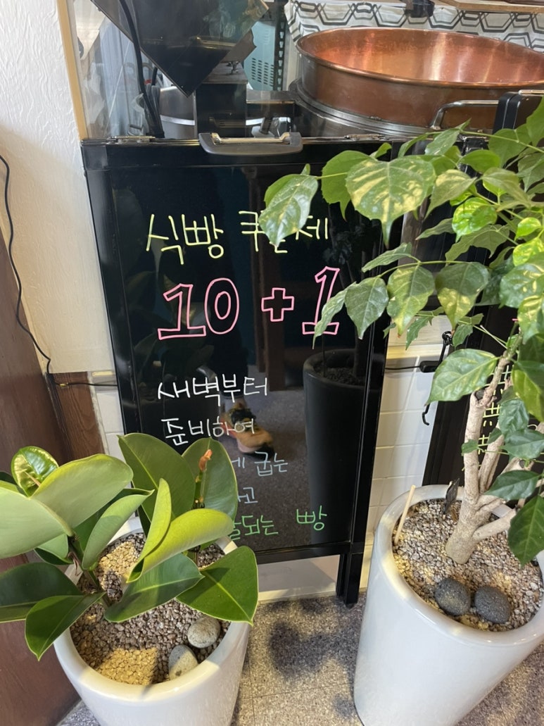 팥쏘 이미지