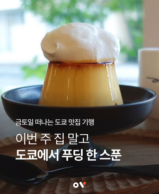 (주)푸딩 이미지