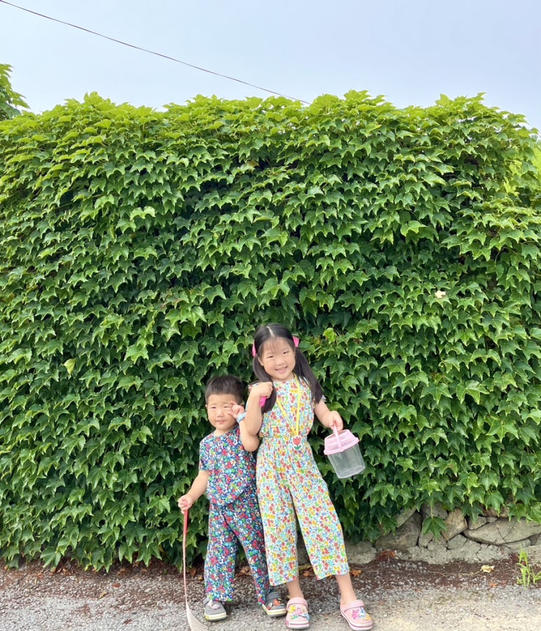 서편제민박 이미지