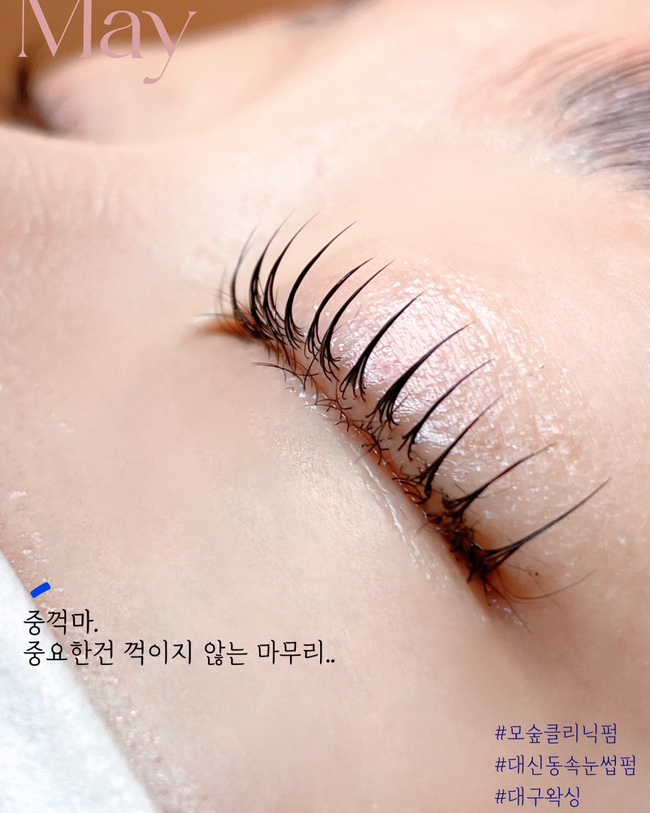모숲 이미지