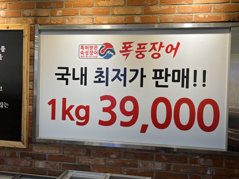 폭풍장어 이미지