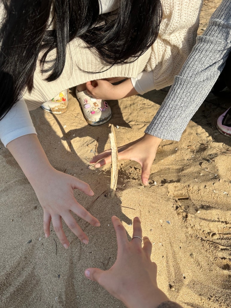 포도밭할머니칼국수 이미지