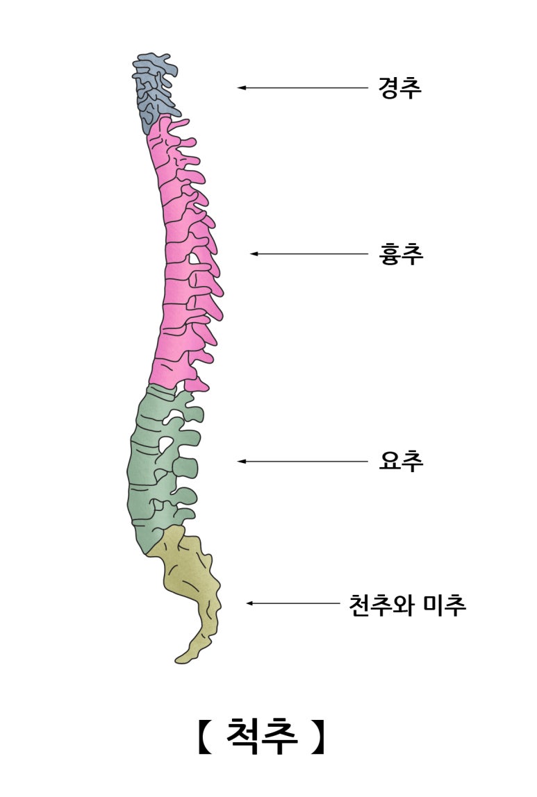 지오티짐 이미지