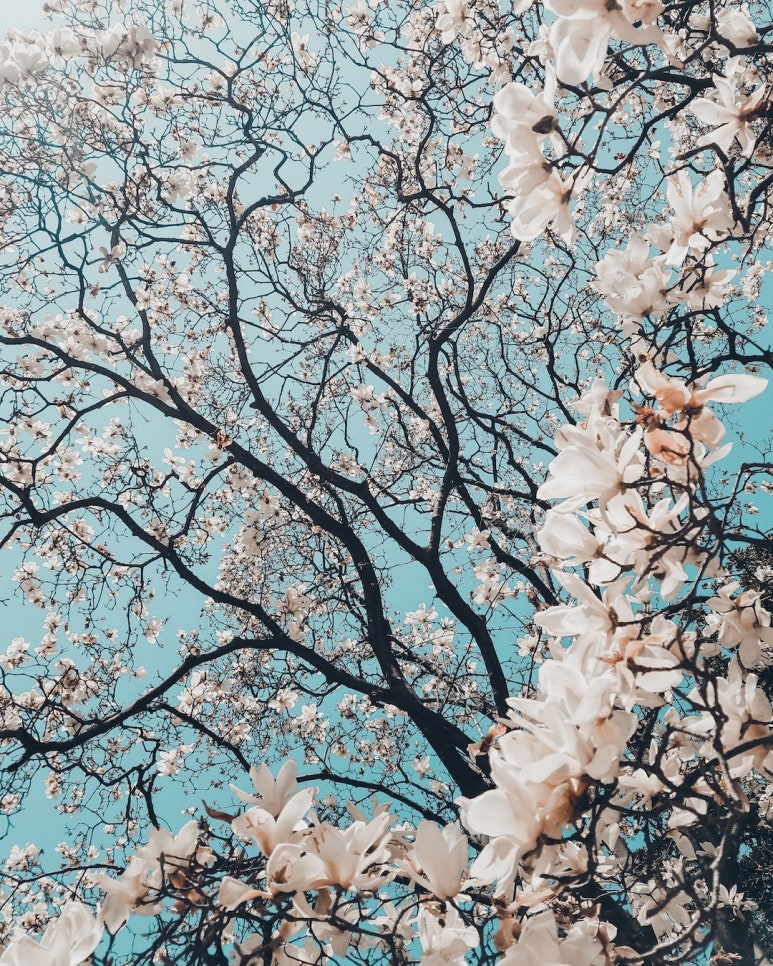 (주)천해 이미지
