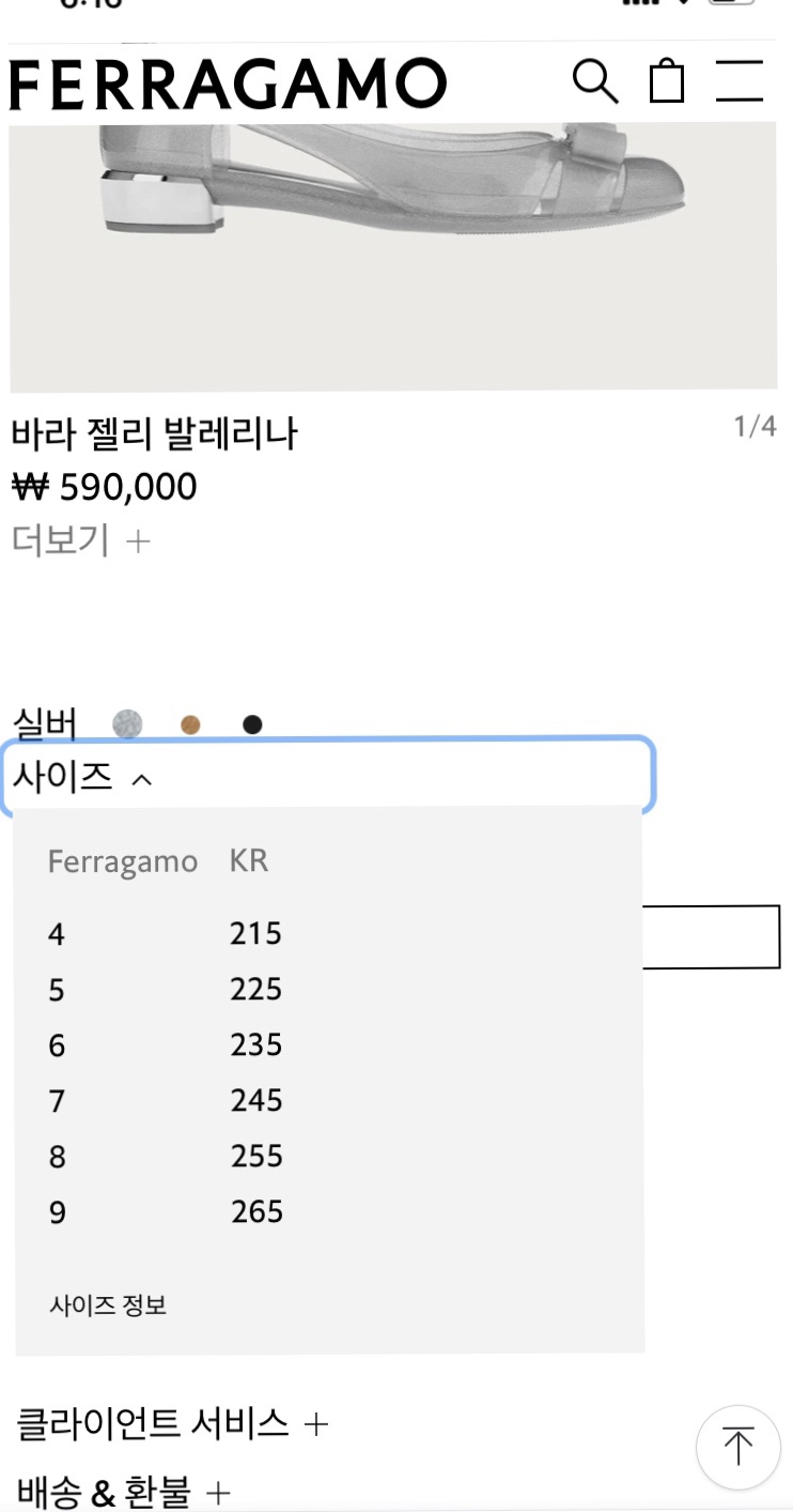 실버 바라 이미지