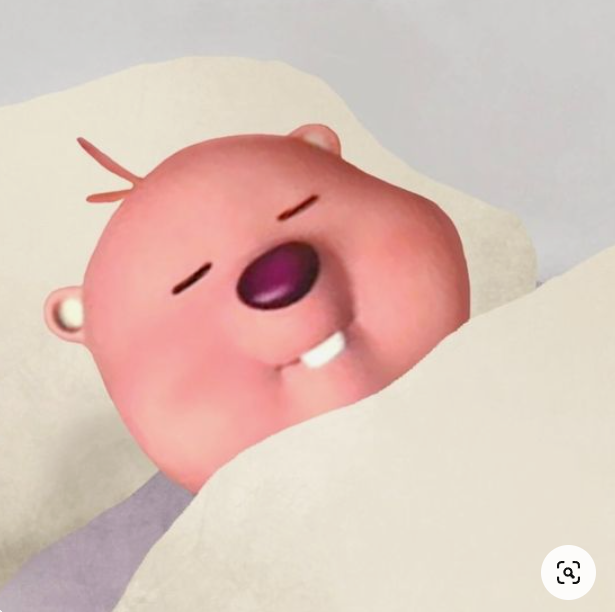 파니샵 이미지