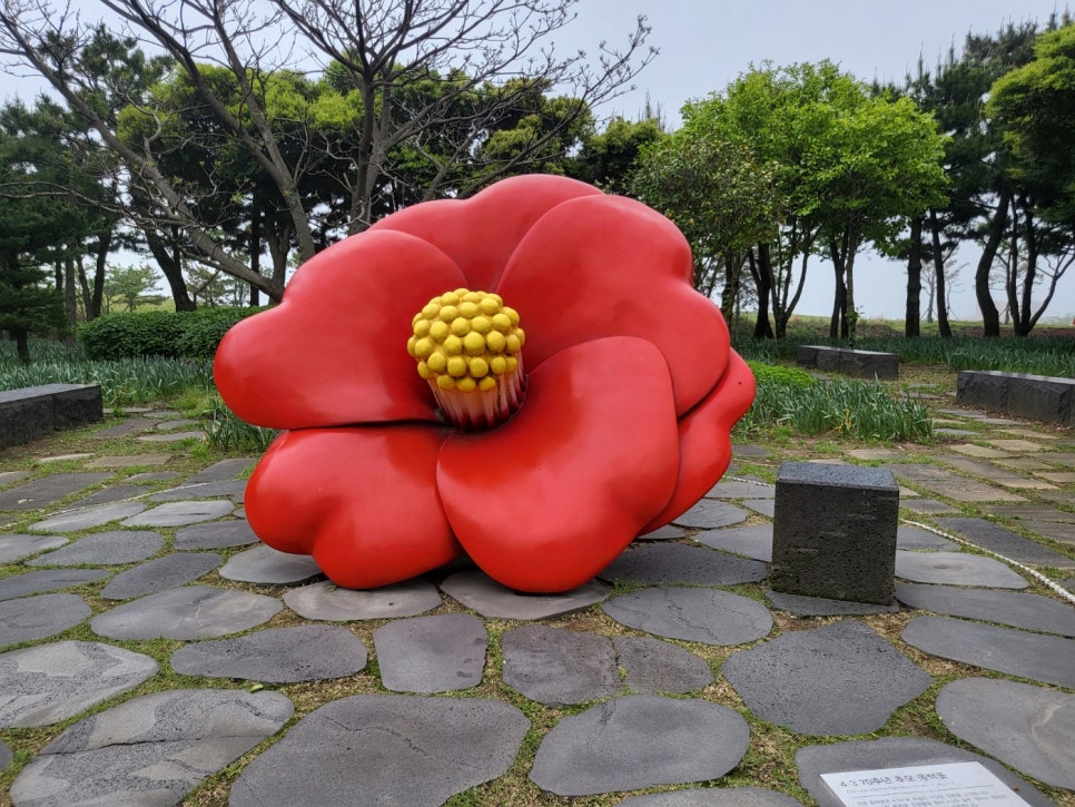제주미즈리 이미지
