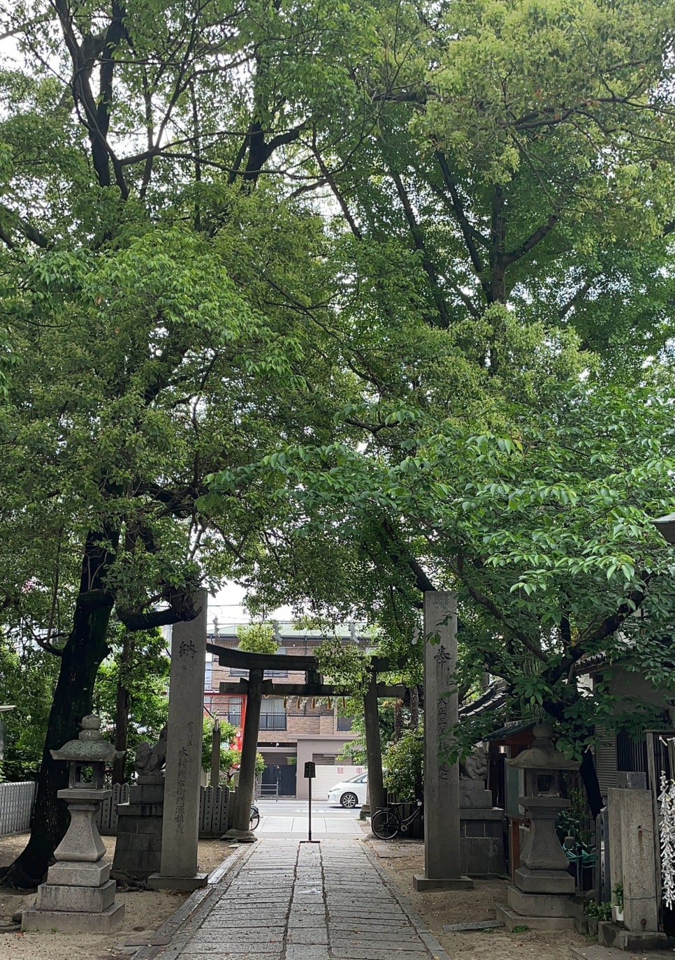 미싱도로록 이미지