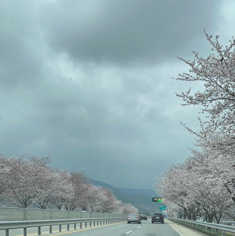 준성리조트 이미지