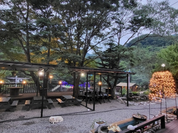 지리산내음 이미지