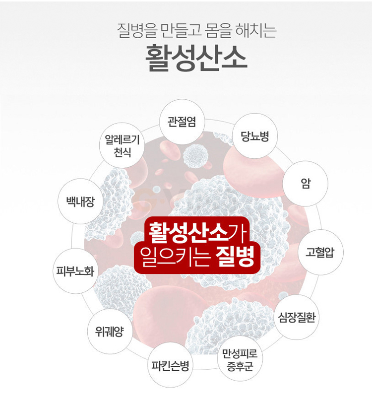 닥터모락 평택점 이미지