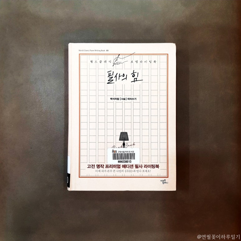 미르라이팅 이미지