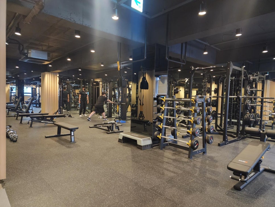 위스테이휘트니스 이미지