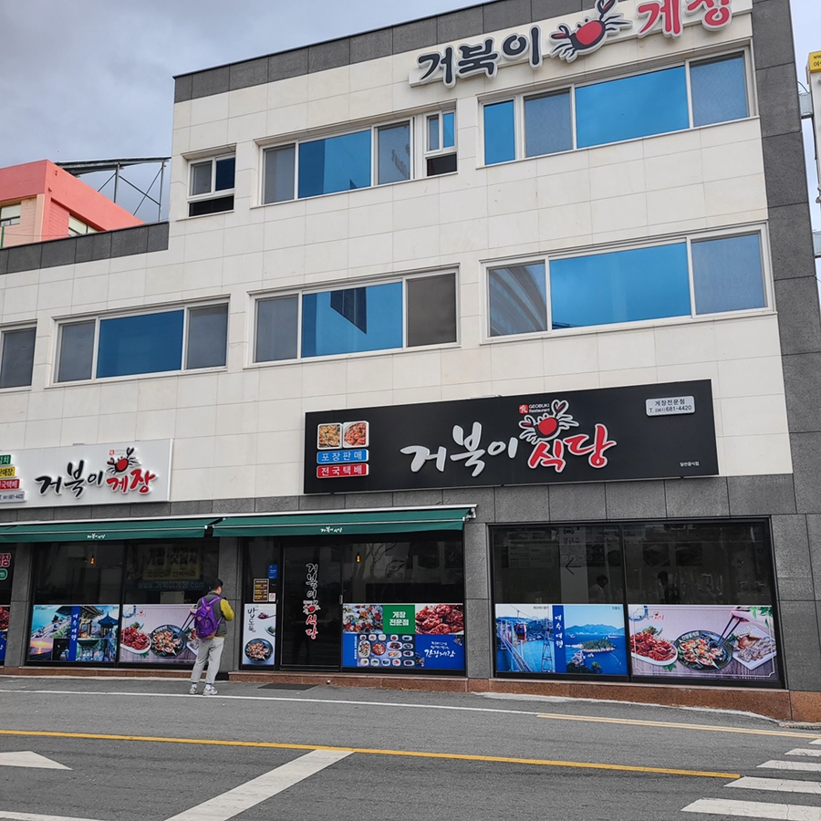 거북이 몰 이미지