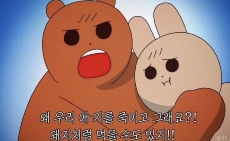 태풍참치 이미지