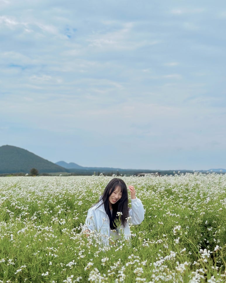 트래블 서치 이미지